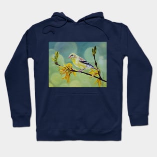 American Goldfinch and Forsythia painting Hoodie